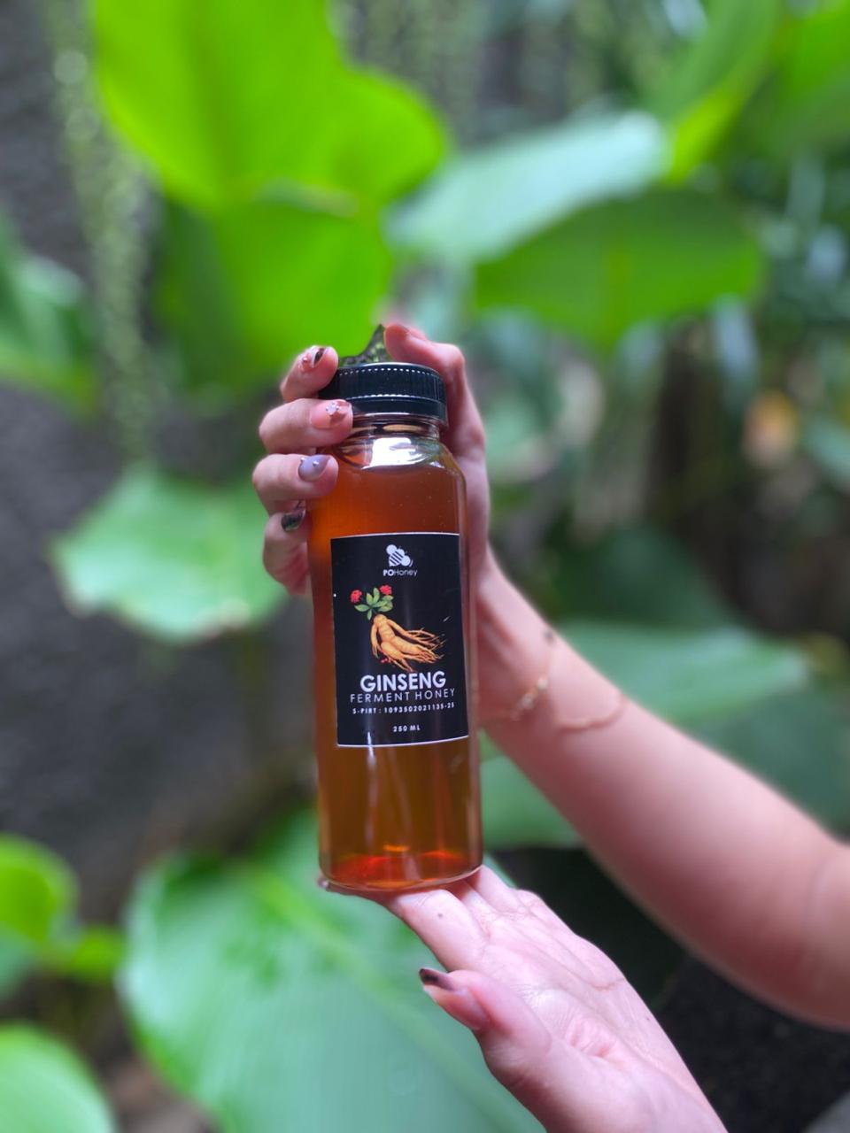 G Honey - Madu Klanceng (Trigona Honey)