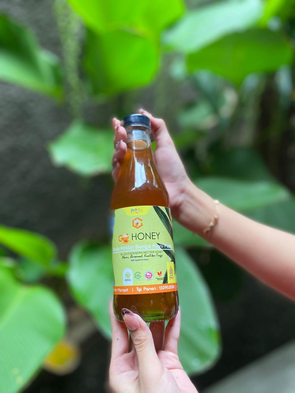 Madu extrafloral karet